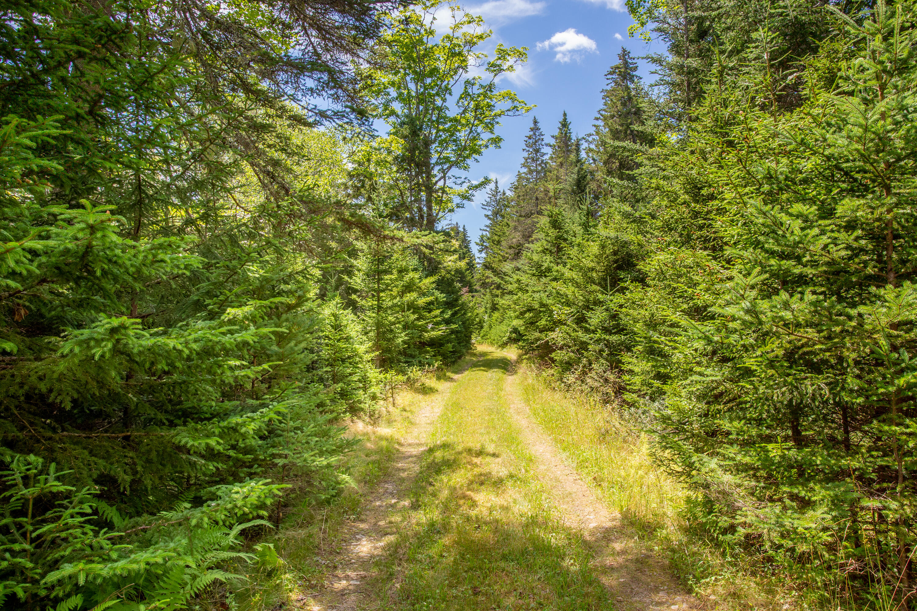M23-l2p Hermits Point Road Islesboro, ME 04848 - Photo 13 of 20 01-M23L2PHermitsPointRd-Islesboro-KS