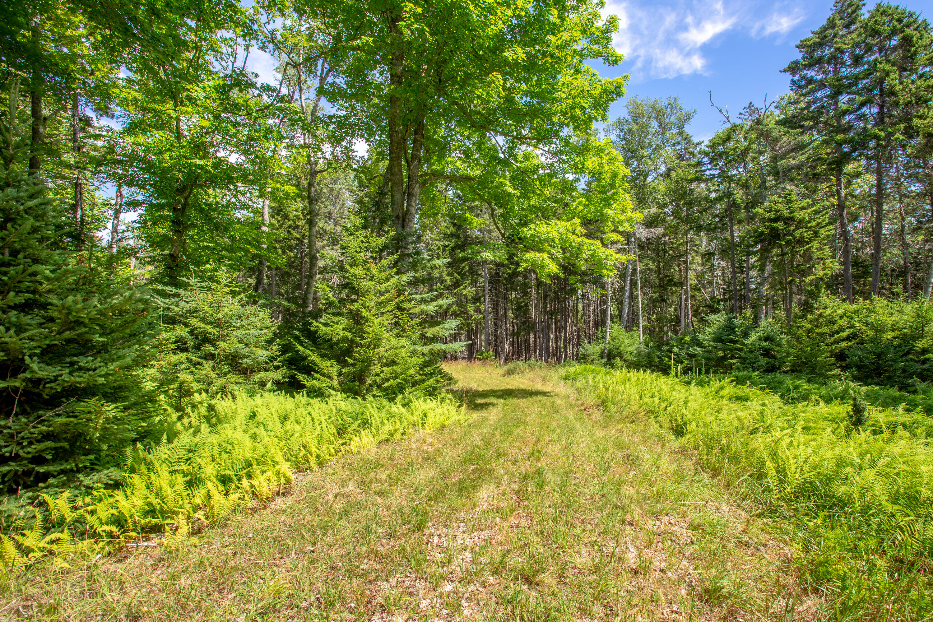 M23-l2p Hermits Point Road Islesboro, ME 04848 - Photo 14 of 20 02-M23L2PHermitsPointRd-Islesboro-KS