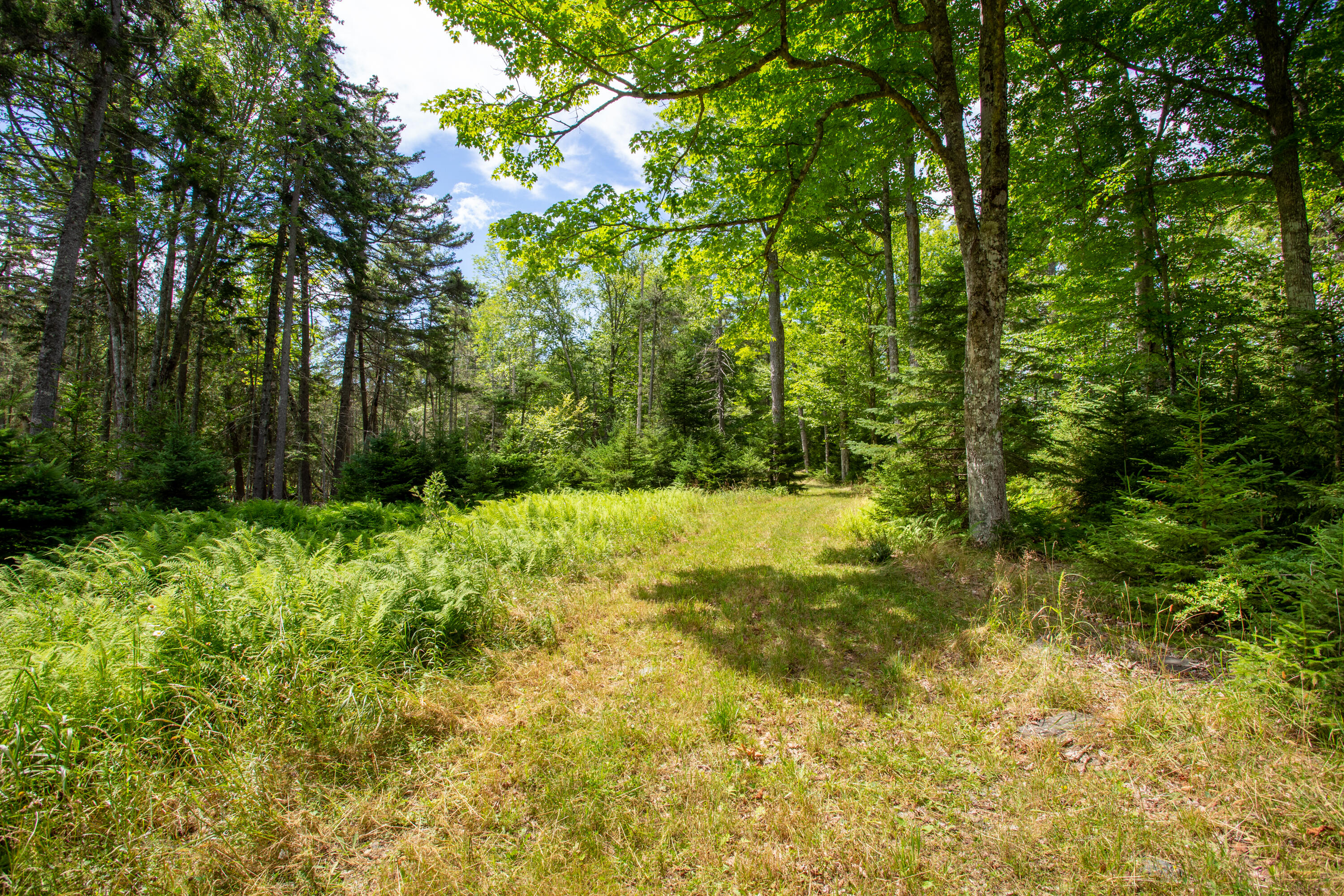M23-l2p Hermits Point Road Islesboro, ME 04848 - Photo 15 of 20 03-M23L2PHermitsPointRd-Islesboro-KS