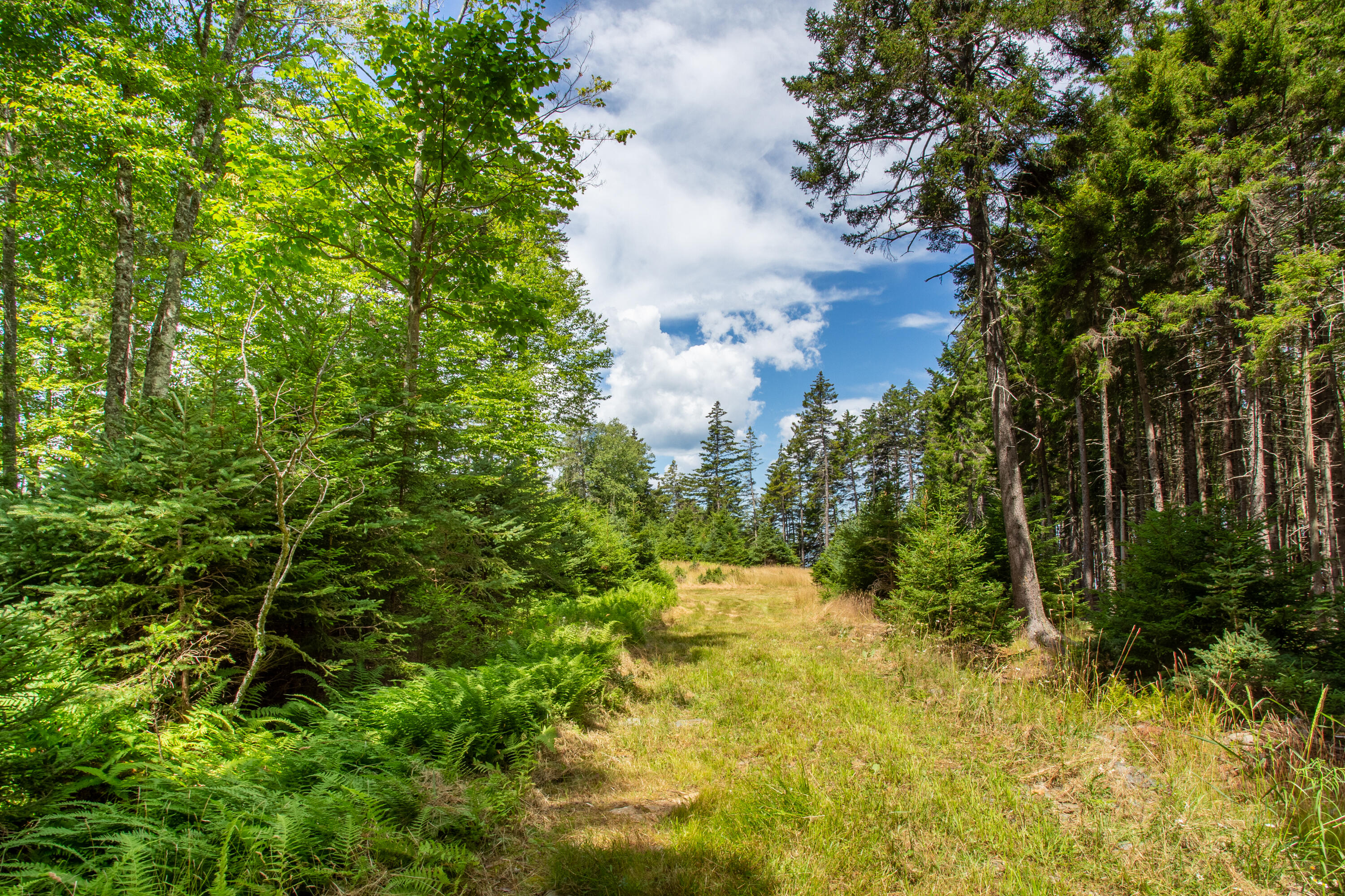 M23-l2p Hermits Point Road Islesboro, ME 04848 - Photo 16 of 20 04-M23L2PHermitsPointRd-Islesboro-KS