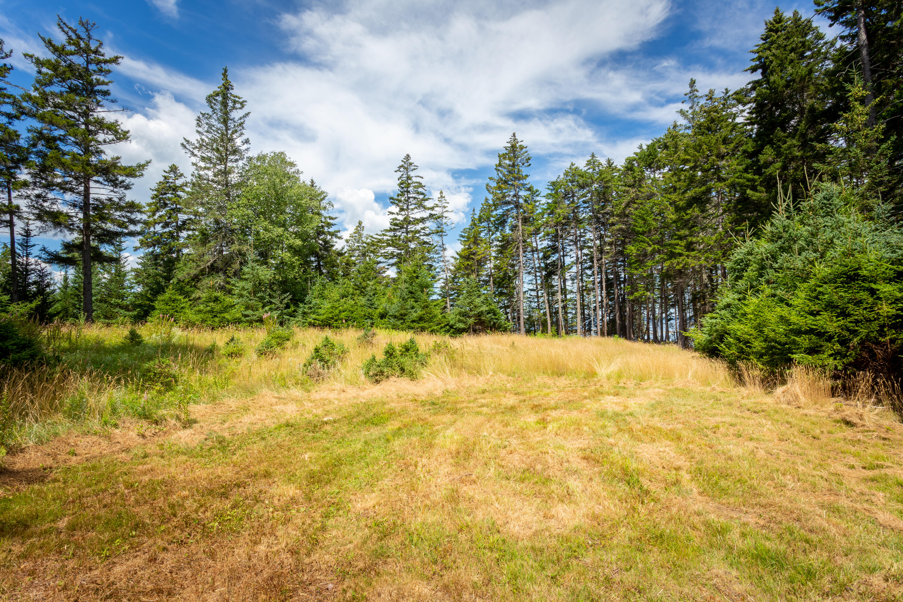 M23-l2p Hermits Point Road Islesboro, ME 04848 - Photo 17 of 20 05-M23L2PHermitsPointRd-Islesboro-KS