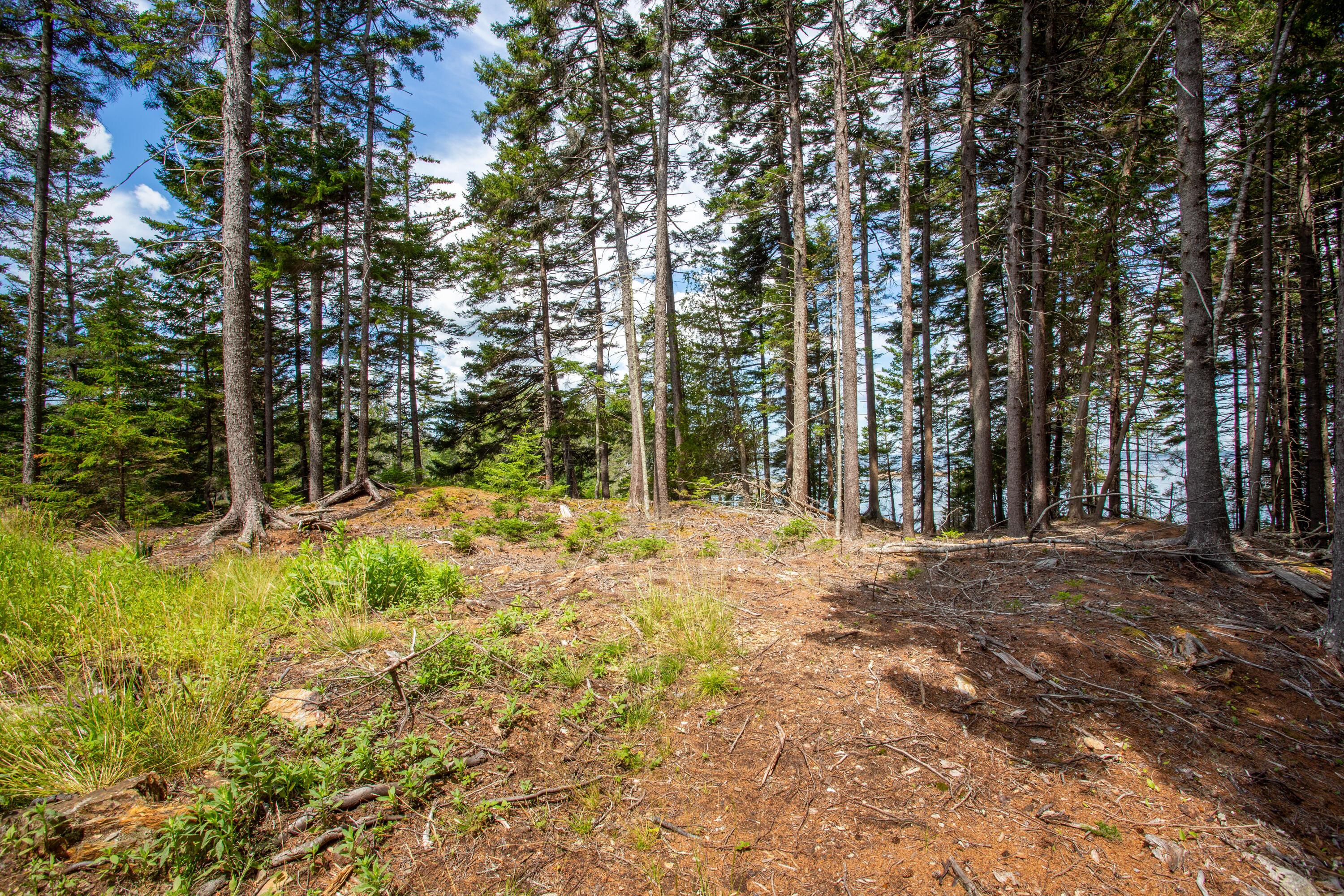M23-l2p Hermits Point Road Islesboro, ME 04848 - Photo 18 of 20 06-M23L2PHermitsPointRd-Islesboro-KS