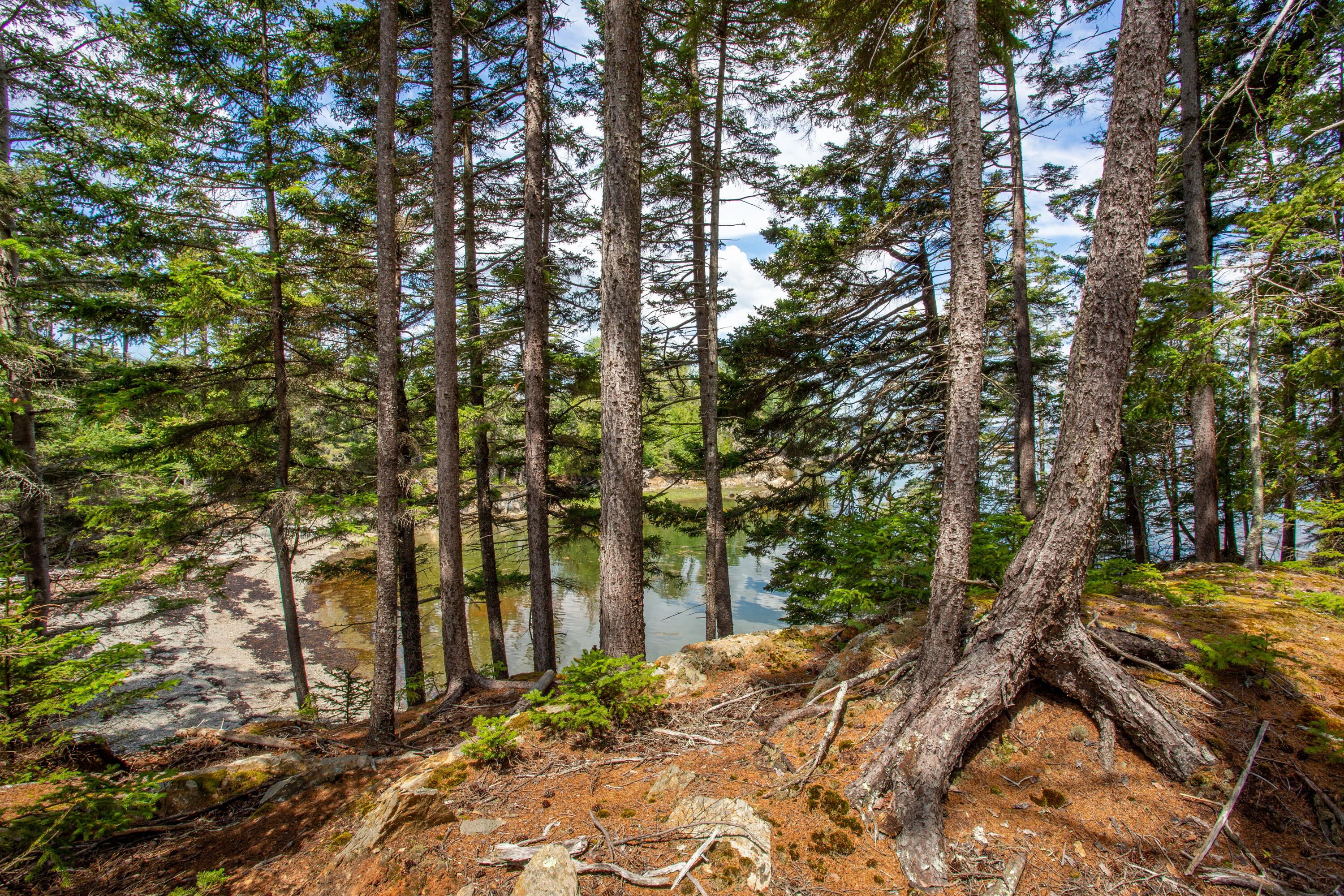 M23-l2p Hermits Point Road Islesboro, ME 04848 - Photo 19 of 20 07-M23L2PHermitsPointRd-Islesboro-KS