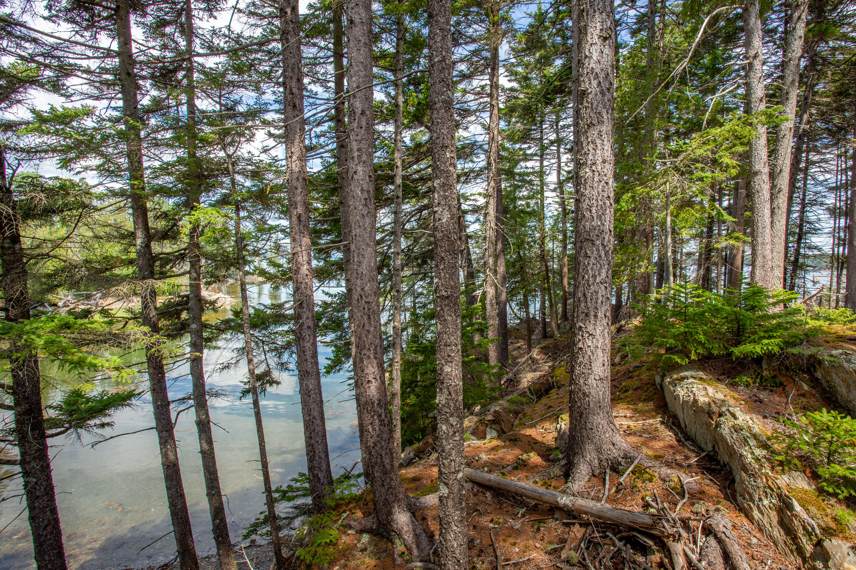 M23-l2p Hermits Point Road Islesboro, ME 04848 - Photo 20 of 20 08-M23L2PHermitsPointRd-Islesboro-KS