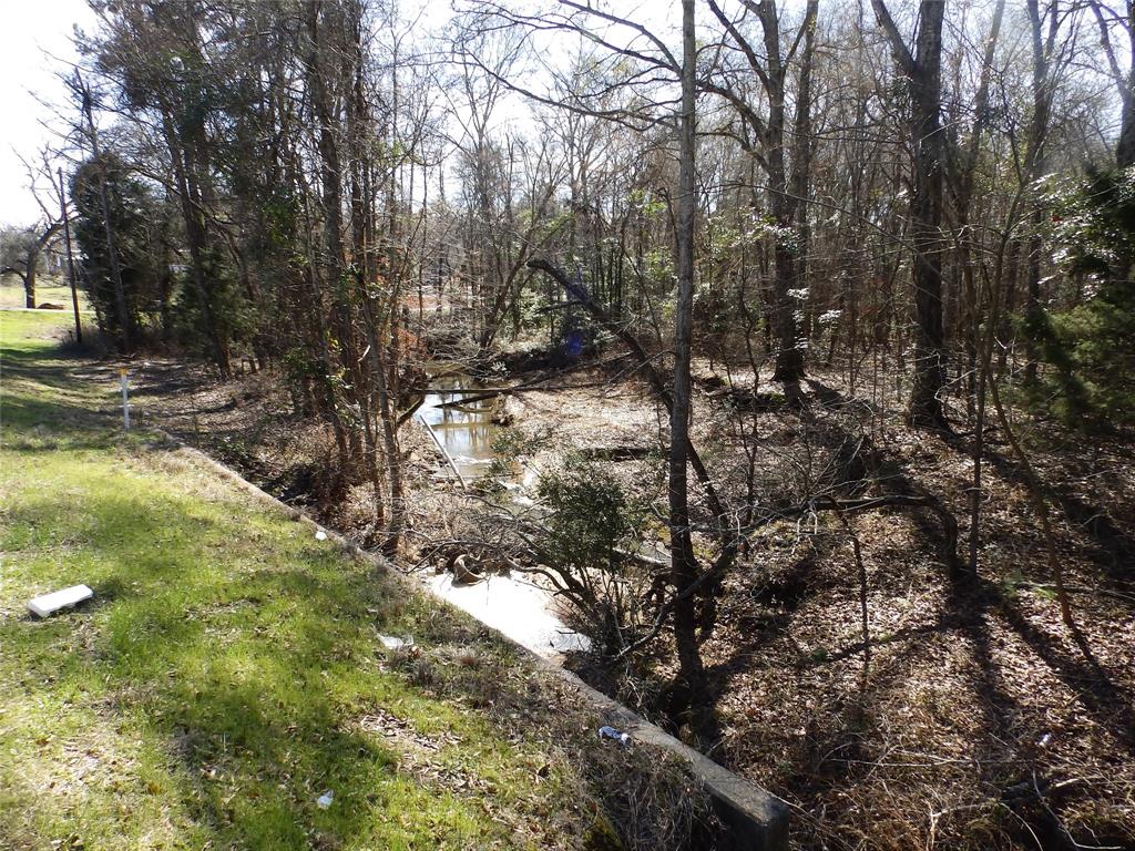 20175 South S Highway Flint, TX 75762 - Photo 36 of 40 a view of a yard with large trees