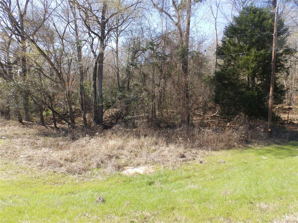 20175 South S Highway Flint, TX 75762 - Photo 38 of 40 a view of backyard with green space