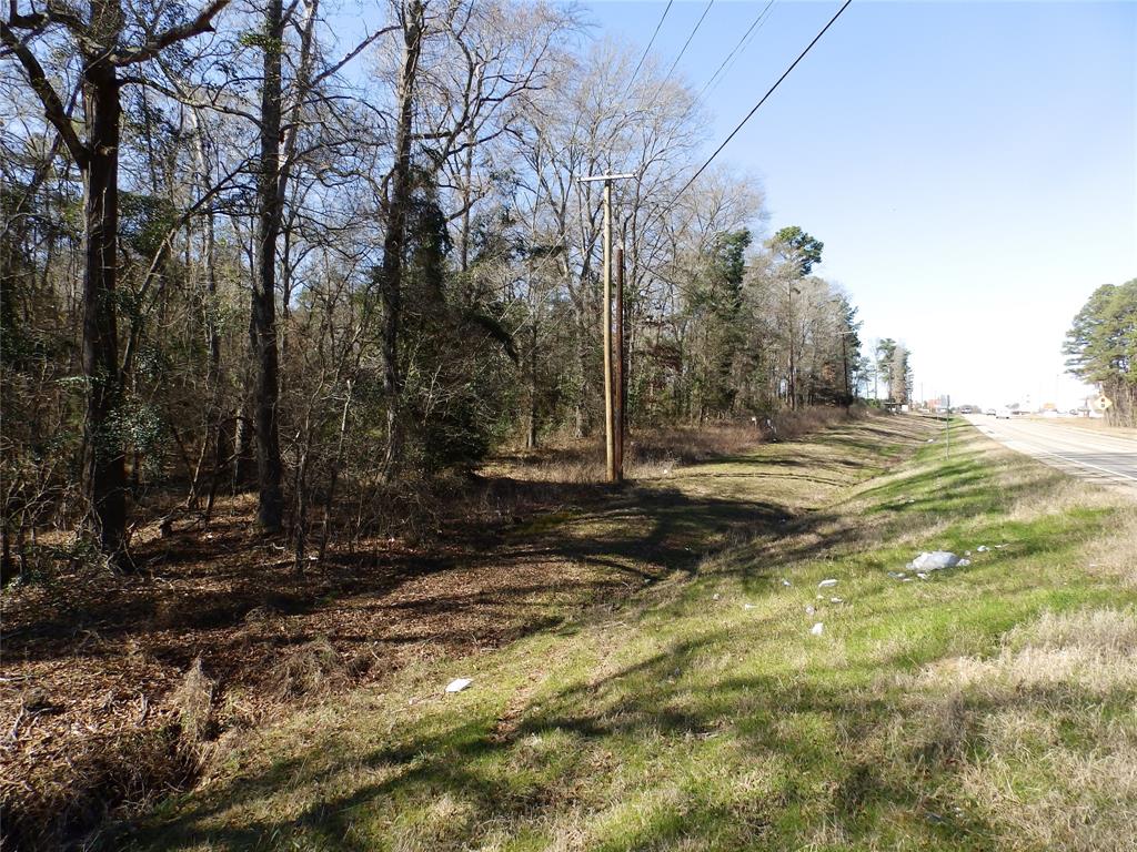 20175 South S Highway Flint, TX 75762 - Photo 40 of 40 a view of a yard with a tree