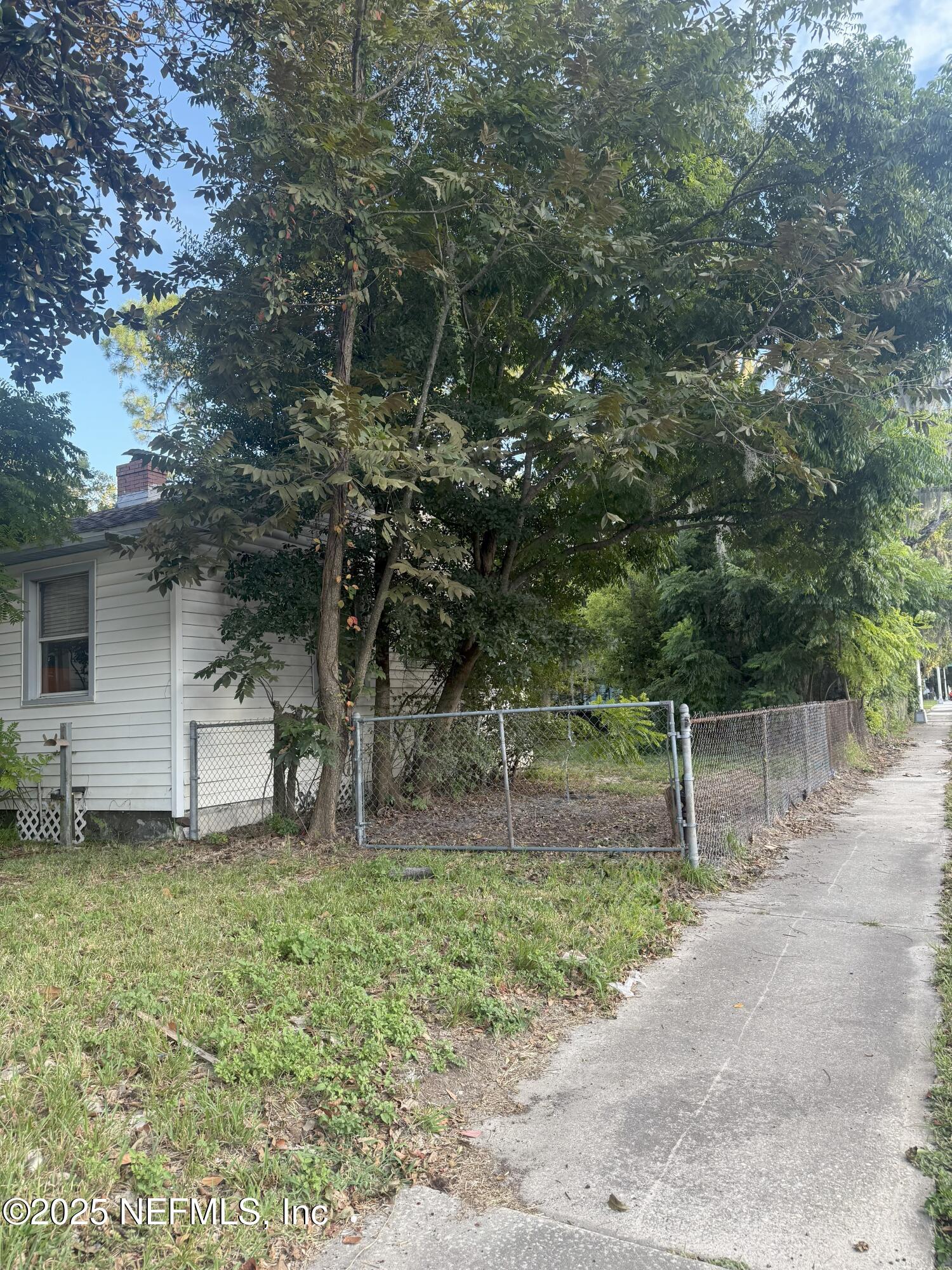 3546 Oleander Street Jacksonville, FL 32254 - Photo 29 of 32 a backyard of a house with lots of green space