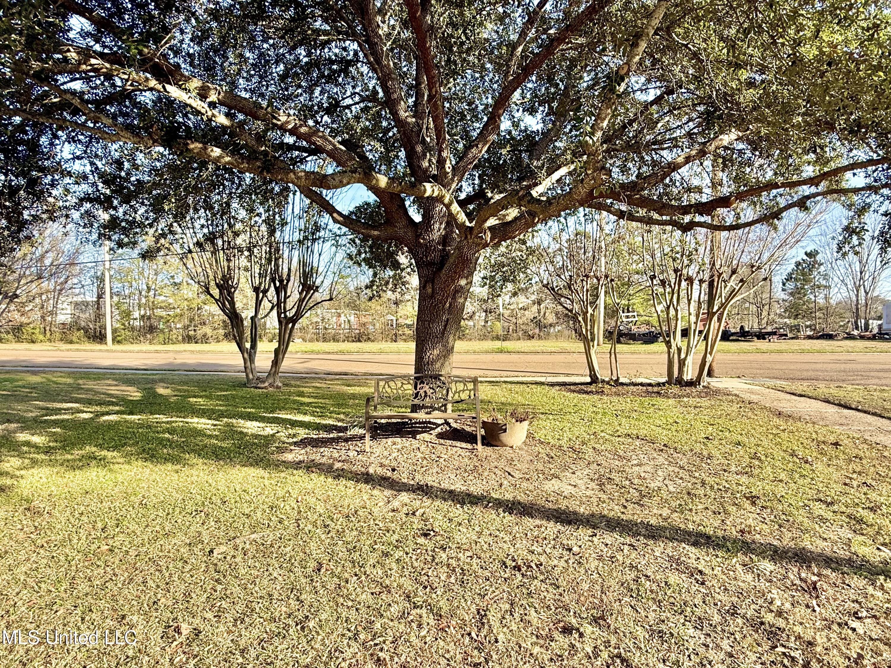 100 Pearl Street Crystal Springs, MS 39059 - Photo 56 of 56 IMG_8626