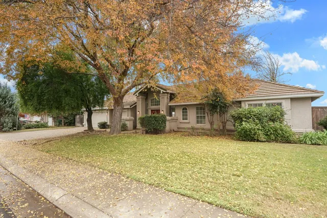 a white house that has a tree in front of it