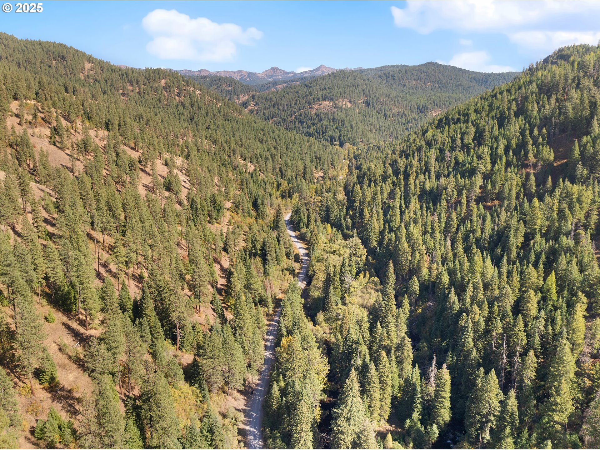 1701 Catherine Creek Lane Union, OR 97883 - Photo 12 of 16 a view of a lush green hillside and a mountain