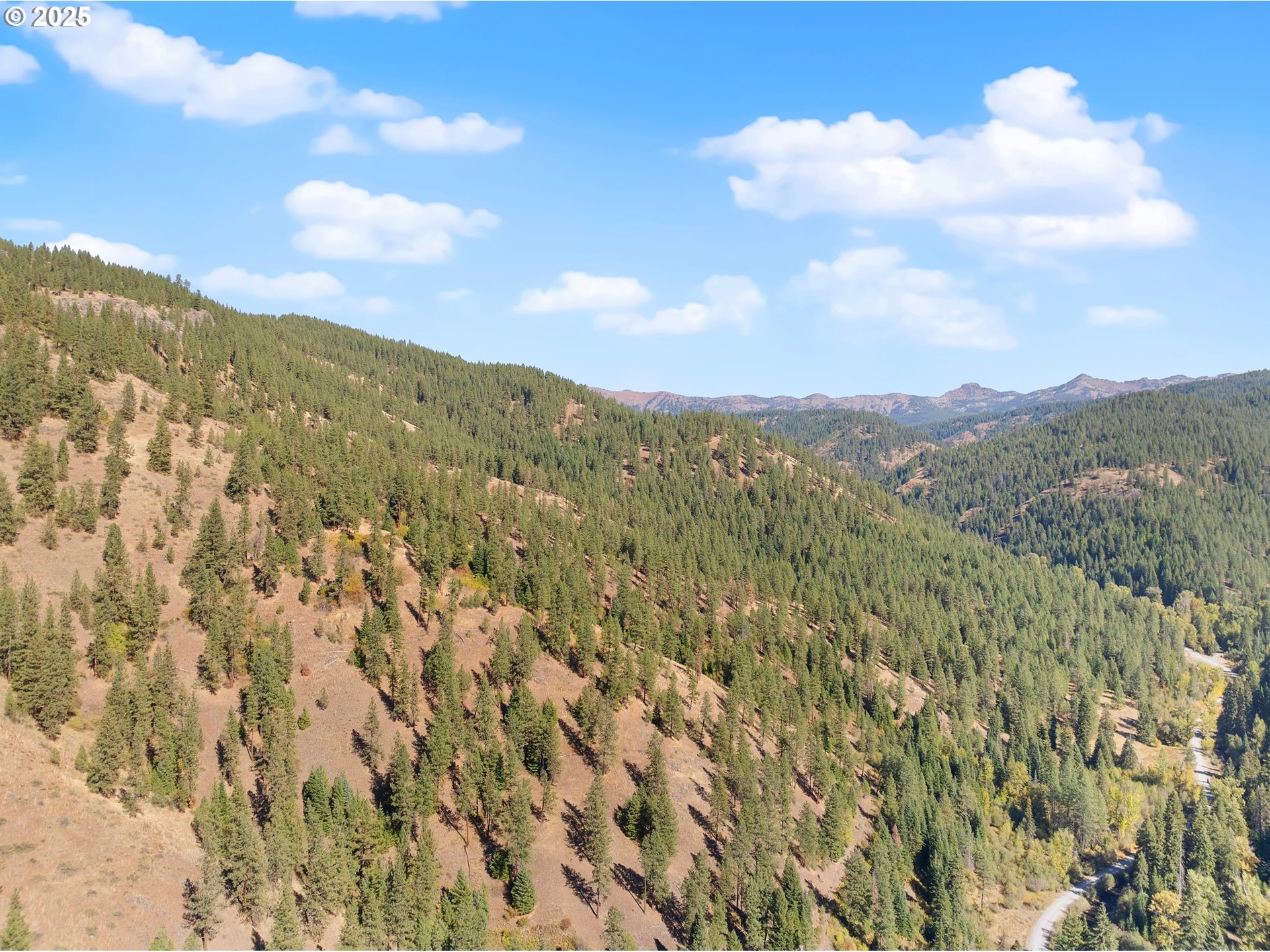 1701 Catherine Creek Lane Union, OR 97883 - Photo 5 of 16 a view of a city and mountains