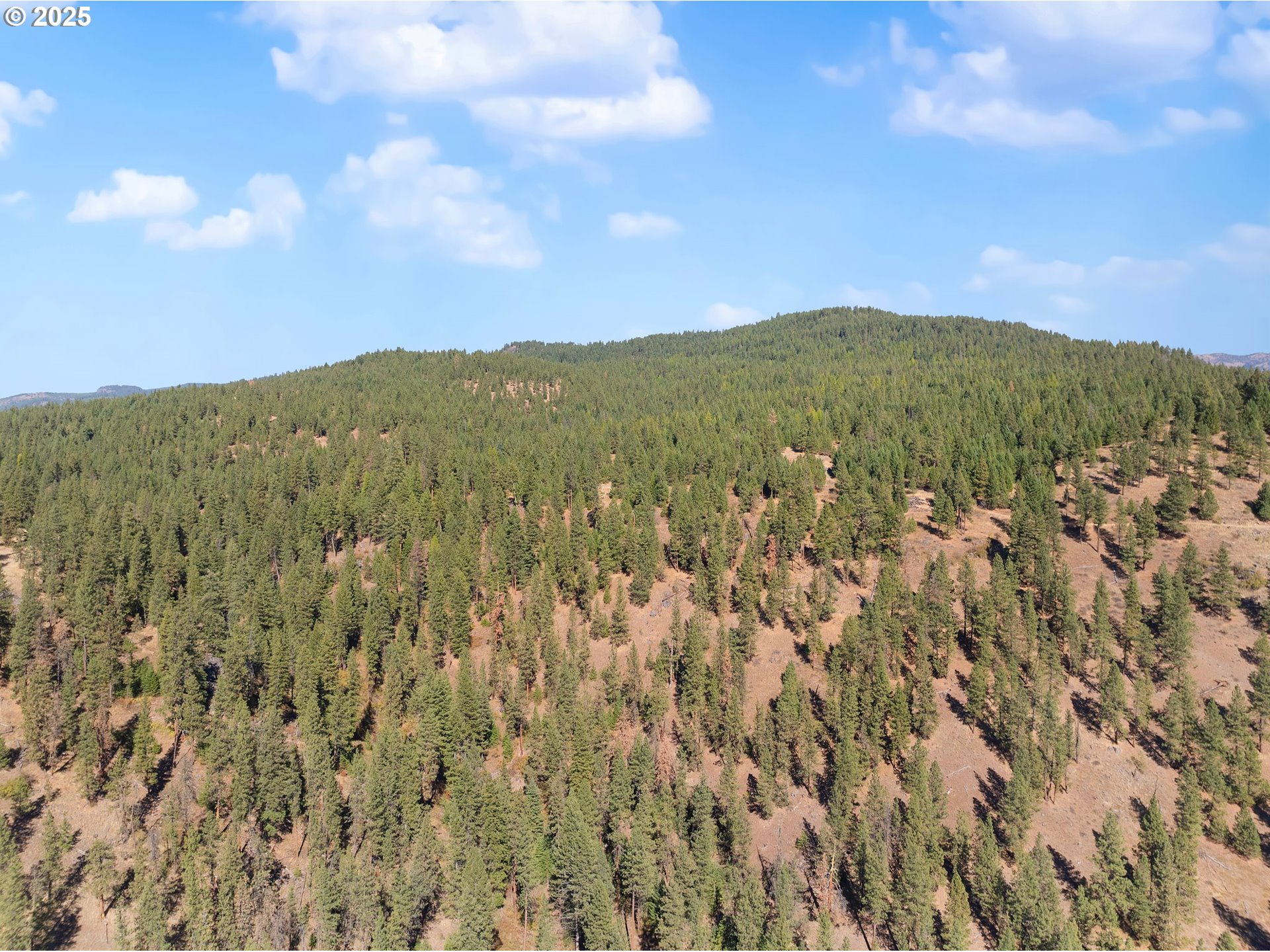 1701 Catherine Creek Lane Union, OR 97883 - Photo 8 of 16 a view of a lush green field with mountains in the background