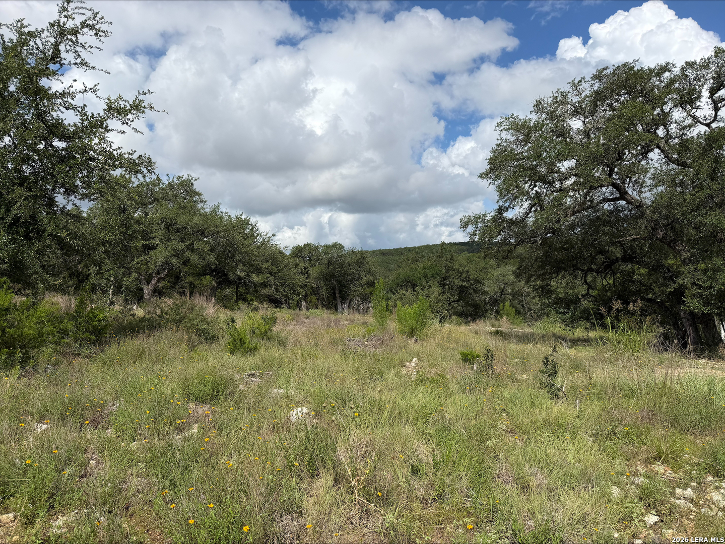 1417 Powder Ridge New Braunfels, TX 78132 - Photo 16 of 17