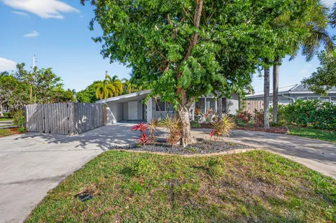 a view of a yard with plants and wooden fence