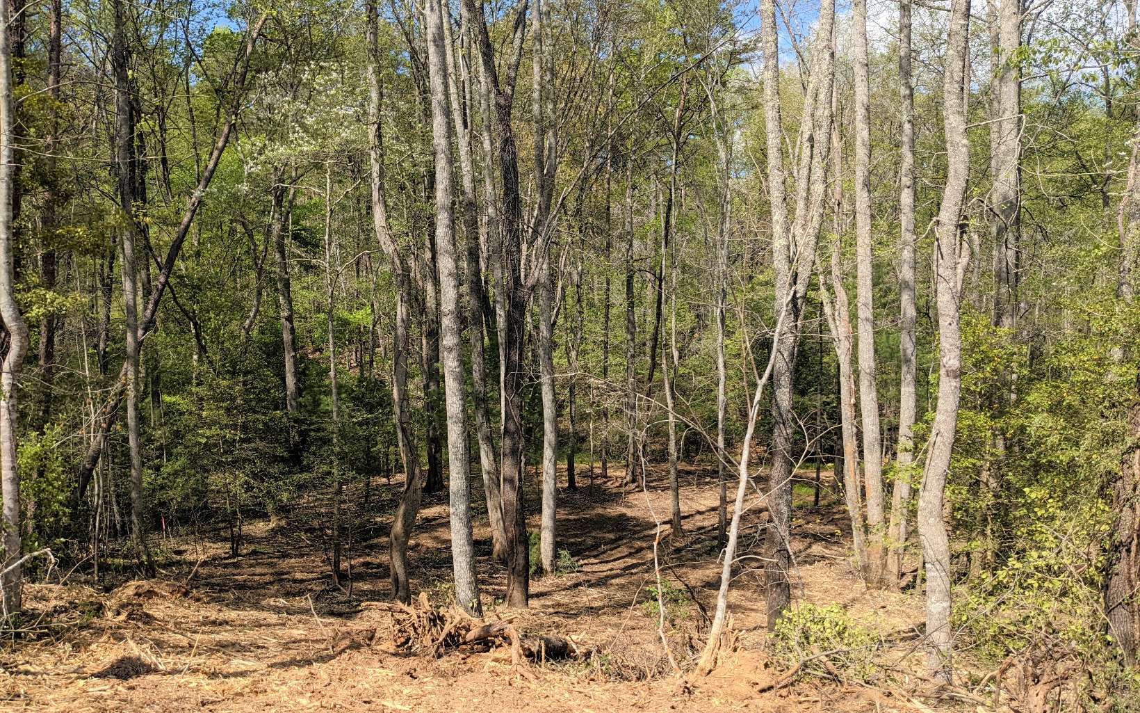 Lot 2 Huntington Ridge Road Blairsville, GA 30512 - Photo 19 of 29 Additional View