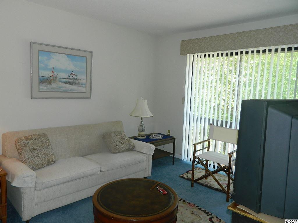 77 Pheasant Loop, Unit 314 FINCH Georgetown, SC 29440 - Photo 17 of 25 Gallery Image 17