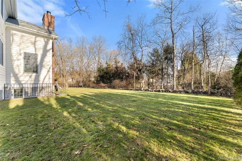 a view of a trees in a yard