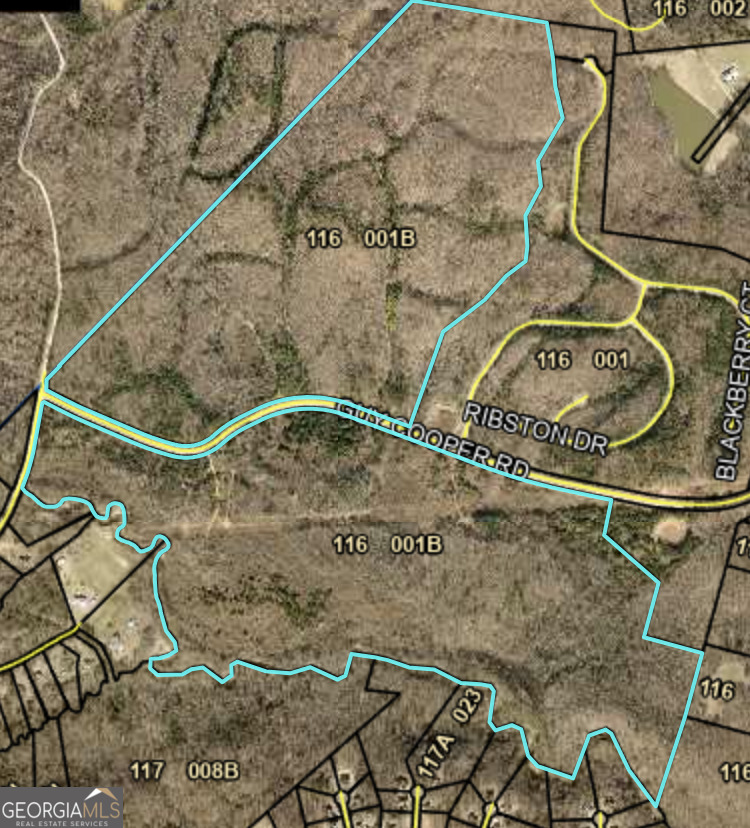 0 Guy Cooper Road Pendergrass, GA 30567 - Photo 5 of 9