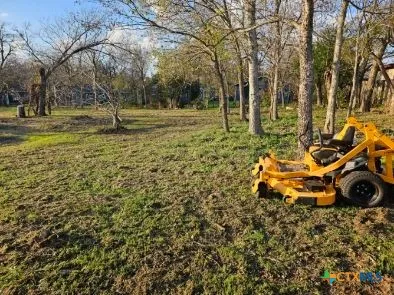 a view of yard with tree