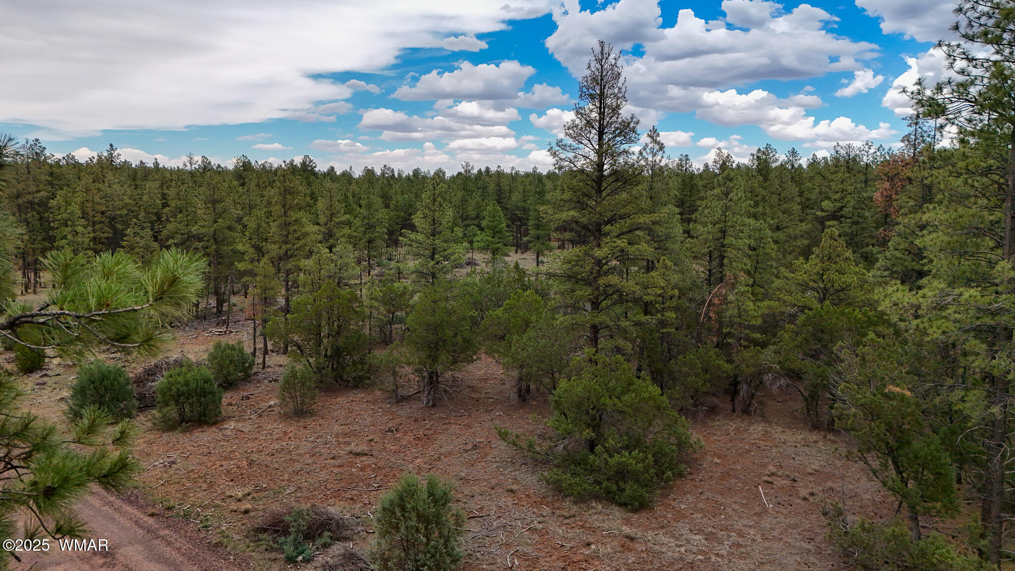 39 F Dynamite Road Pinetop, AZ 85935 - Photo 2 of 8 DJI_20250729145028_0038_D