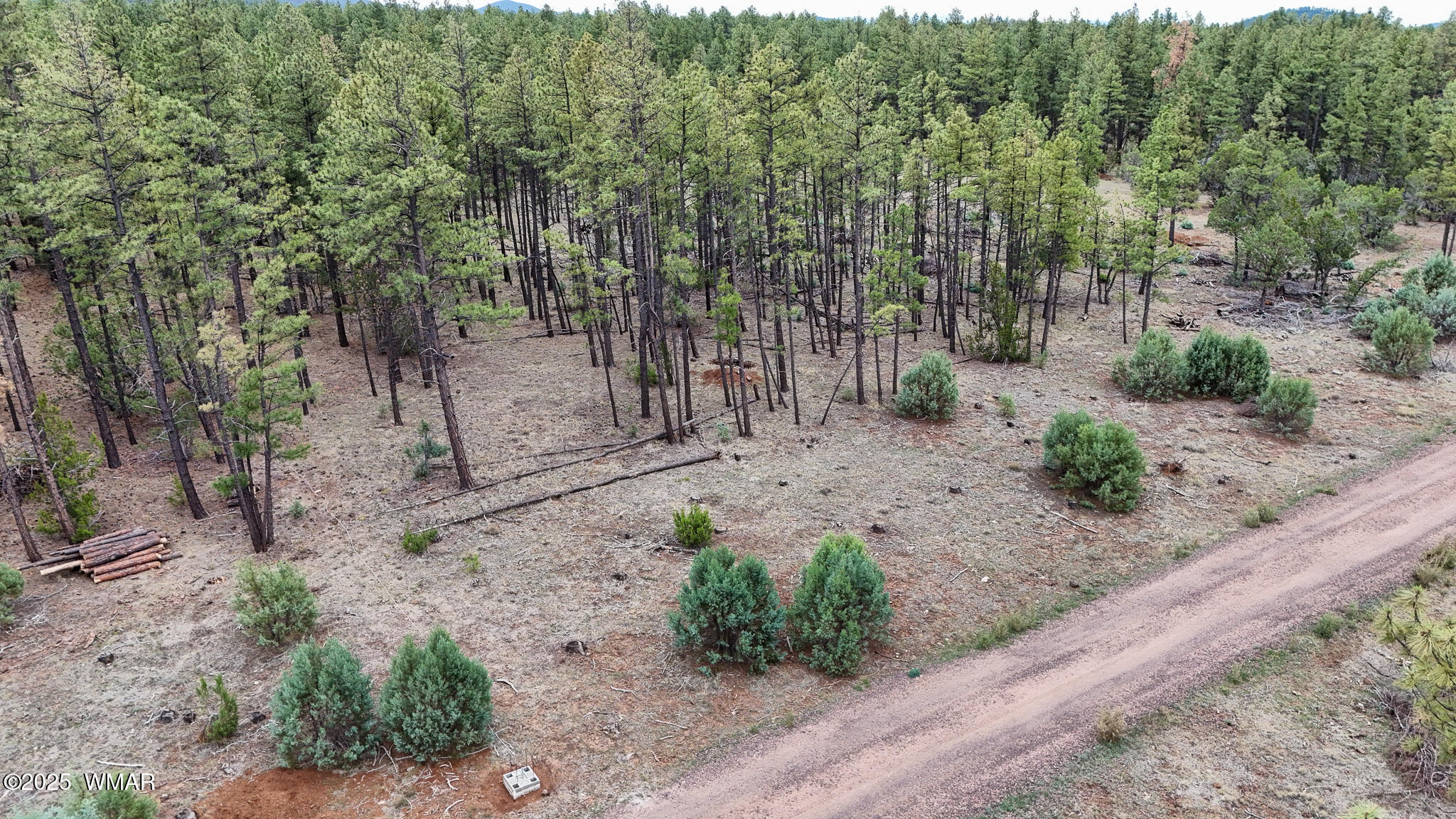 39 F Dynamite Road Pinetop, AZ 85935 - Photo 3 of 8 DJI_20250729145120_0039_D