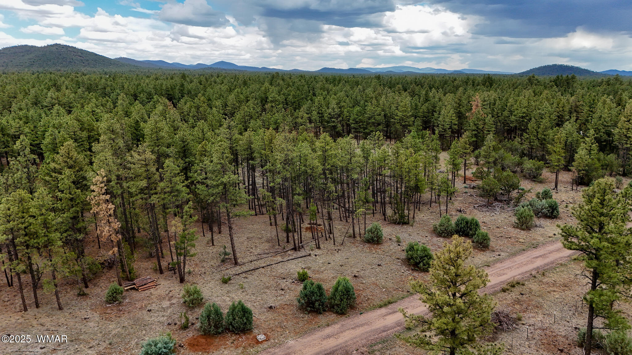 39 F Dynamite Road Pinetop, AZ 85935 - Photo 4 of 8 DJI_20250729145131_0040_D