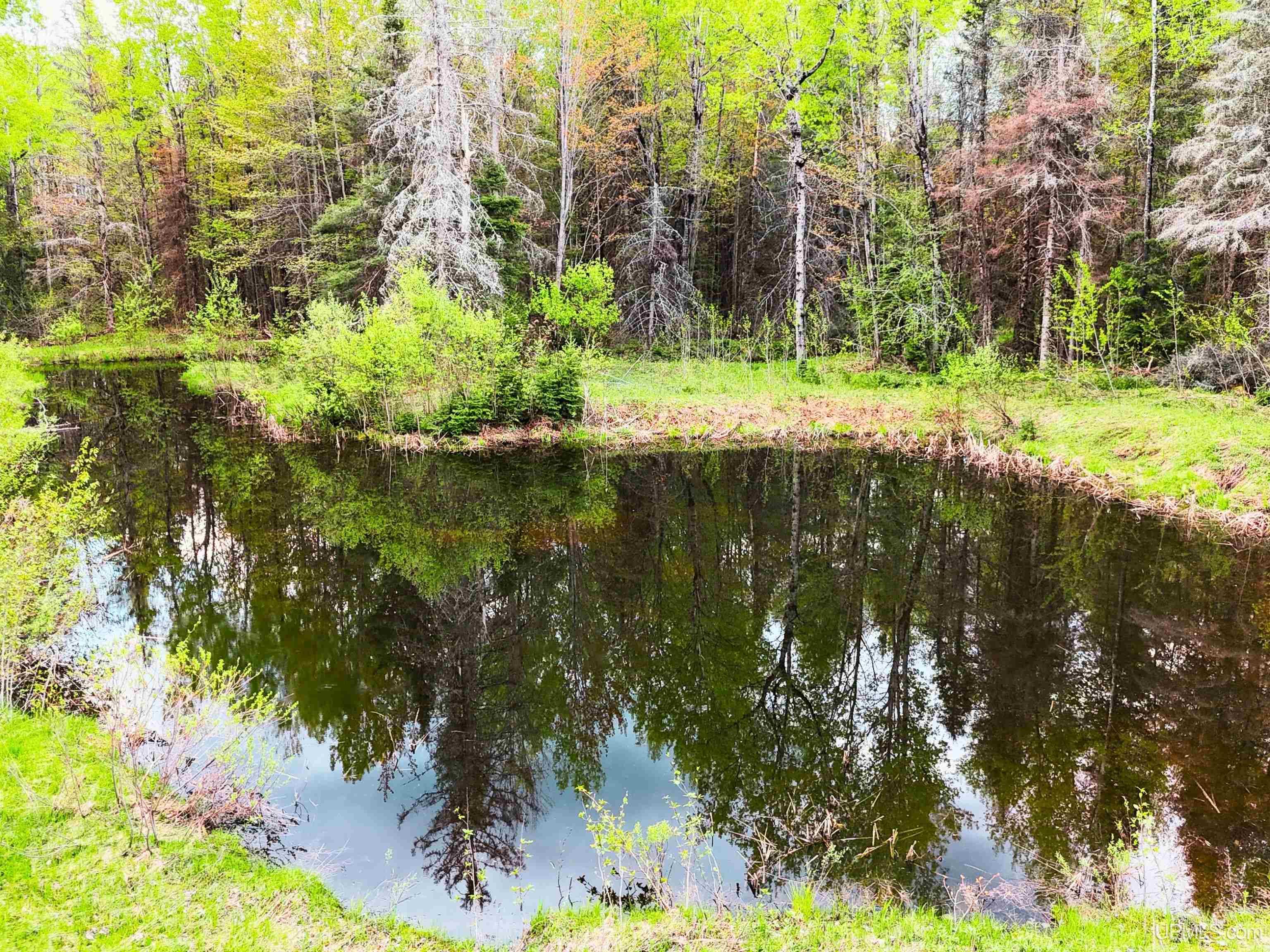 1738 RM Road Rock, MI 49880 - Photo 41 of 51