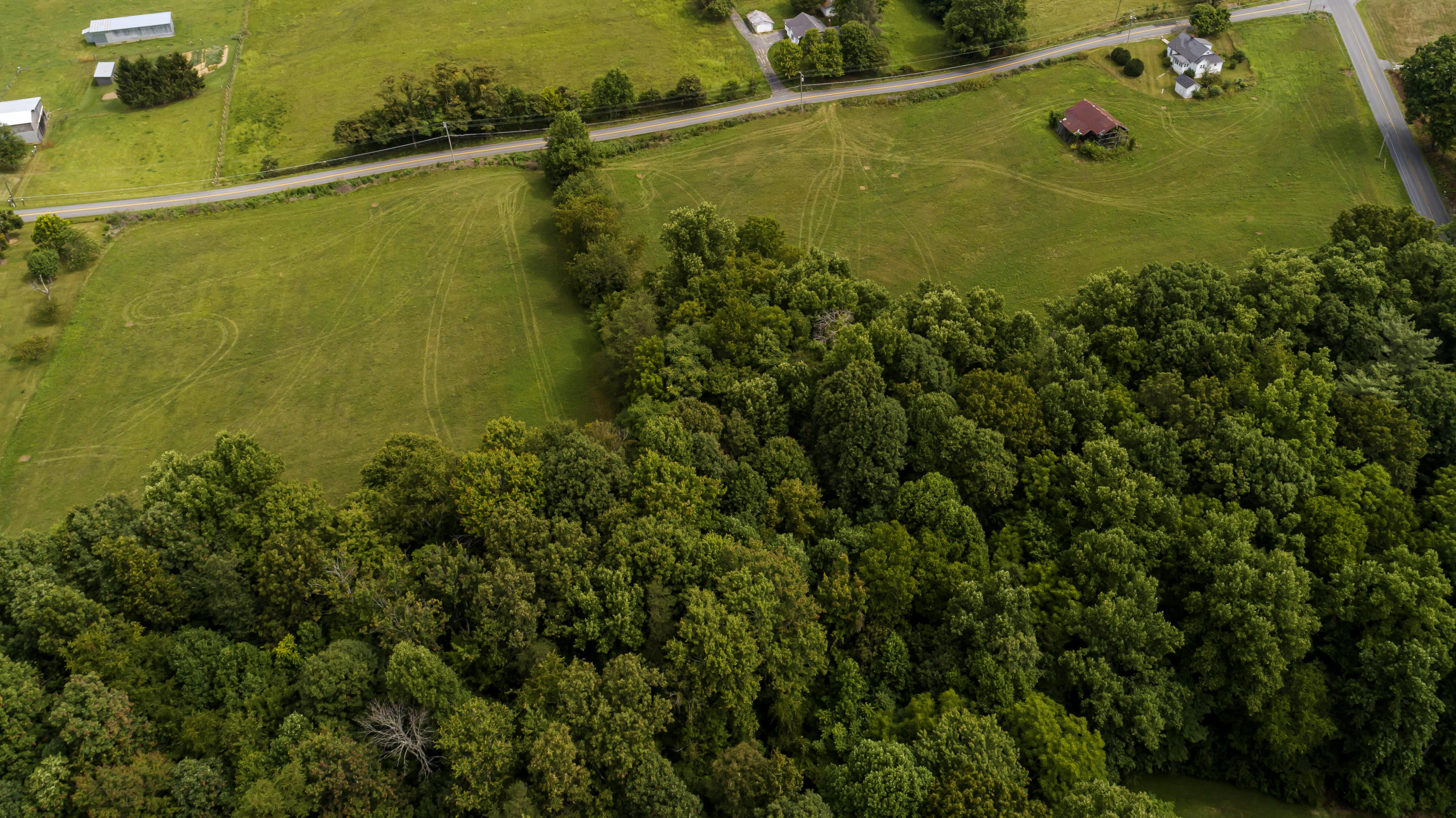 107 Miller Road Jonesborough, TN 37659 - Photo 3 of 22 107MillerRd41 copy