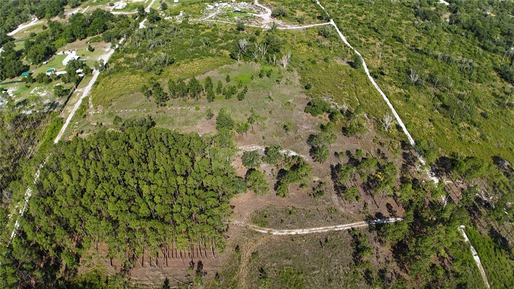 Xx Southwest 156th Place Dunnellon, FL 34432 - Photo 4 of 9