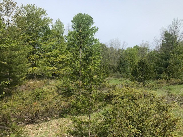 Lot 1 West Meadow Road Fish Creek, WI 54212 - Photo 25 of 33 Gallery Image 25