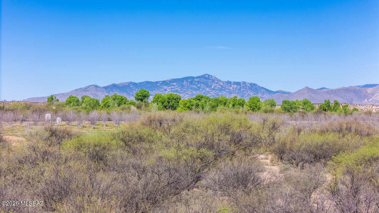 73.5-acres North Ocotillo Road Benson, AZ 85602 - Photo 18 of 21
