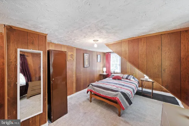 a close up of a tree