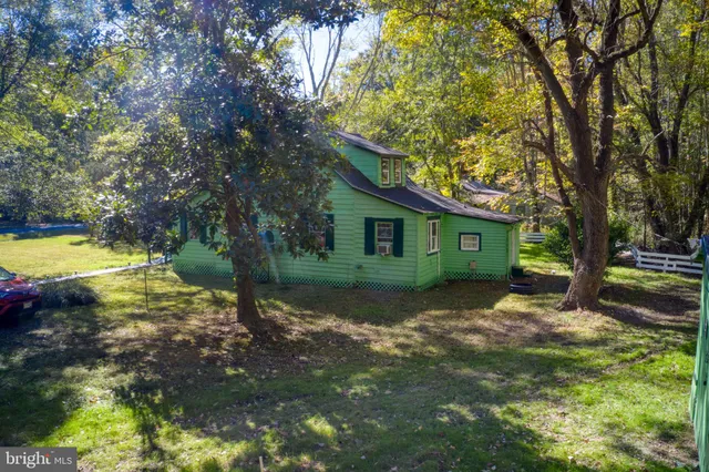 a view of a yard with plants and large trees