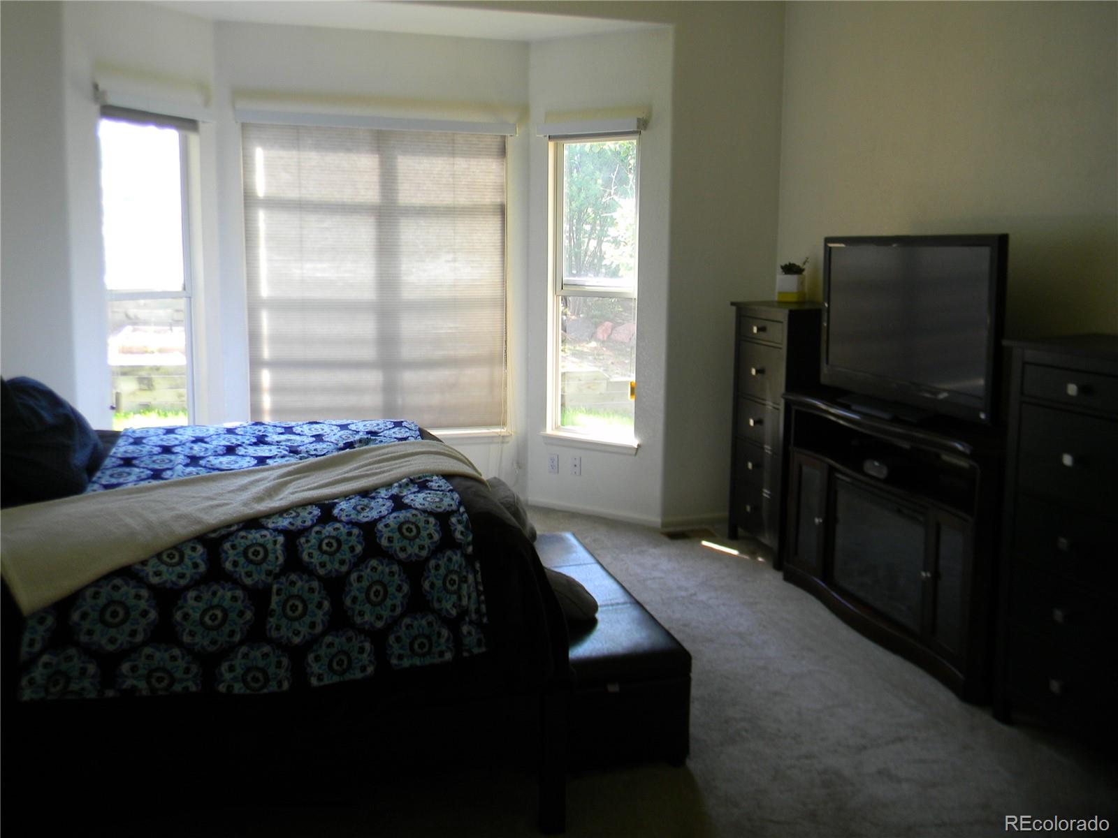 4092 Starflower Road Castle Rock, CO 80109 - Photo 13 of 28 a bedroom with a bed tv and a window