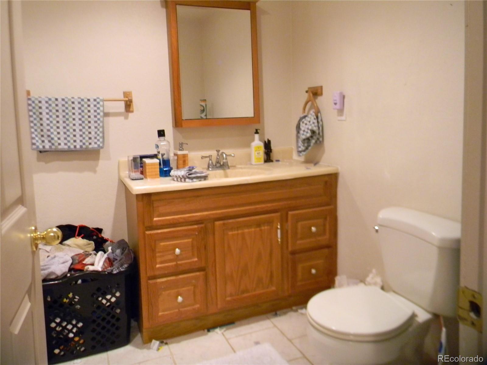 4092 Starflower Road Castle Rock, CO 80109 - Photo 20 of 28 a bathroom with a toilet a sink and a mirror