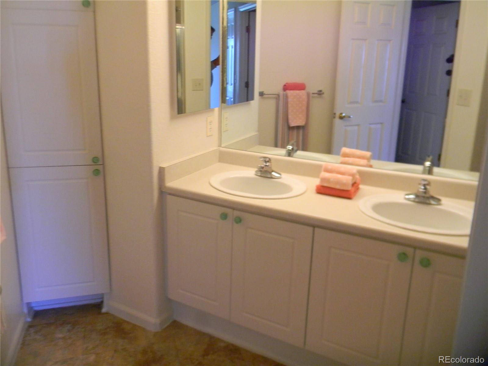 4092 Starflower Road Castle Rock, CO 80109 - Photo 21 of 28 a bathroom with a sink and a mirror