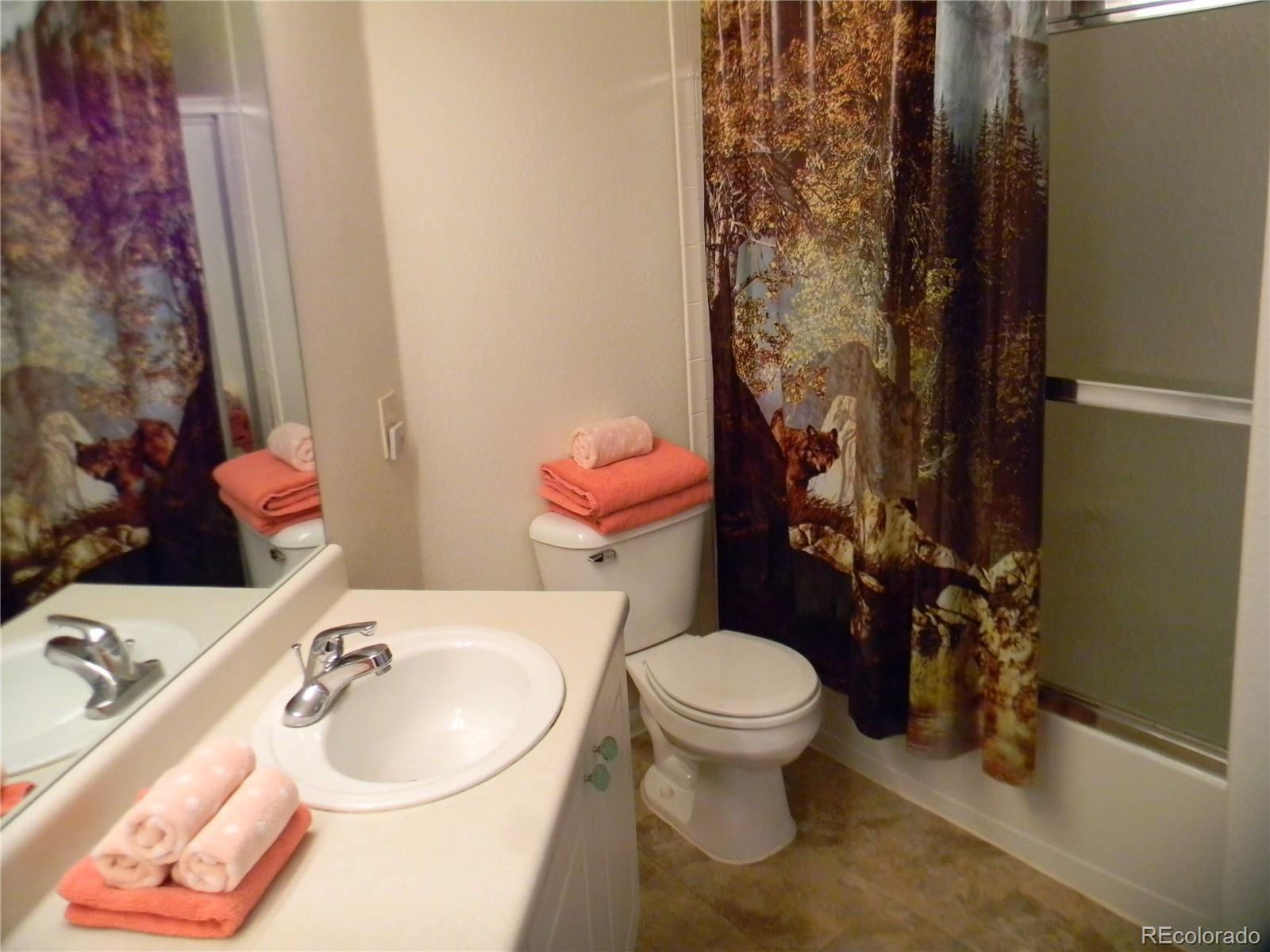 4092 Starflower Road Castle Rock, CO 80109 - Photo 22 of 28 a bathroom with a sink toilet and shower