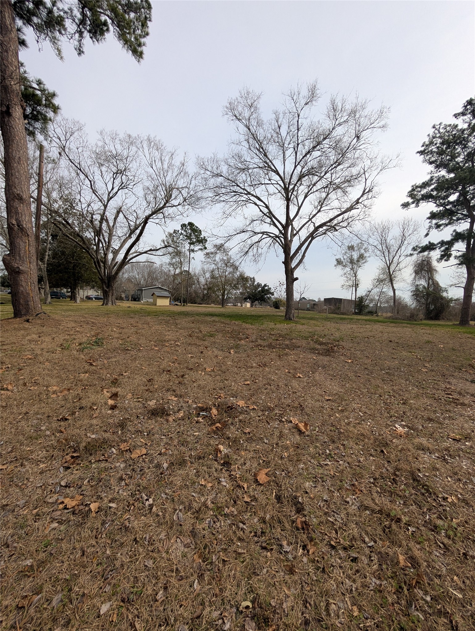 735 Sandpit Road Alvin, TX 77511 - Photo 3 of 7