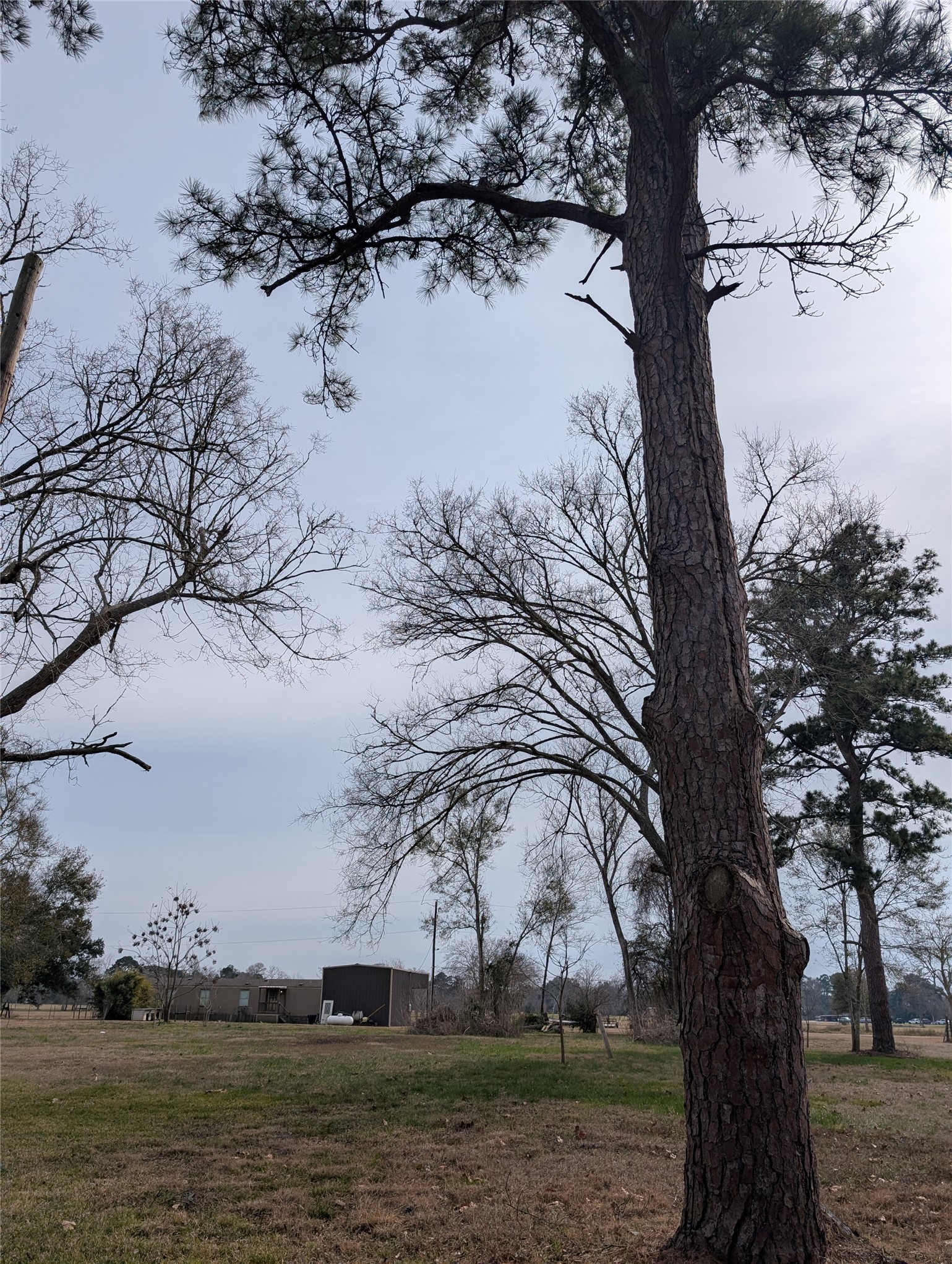 735 Sandpit Road Alvin, TX 77511 - Photo 4 of 7