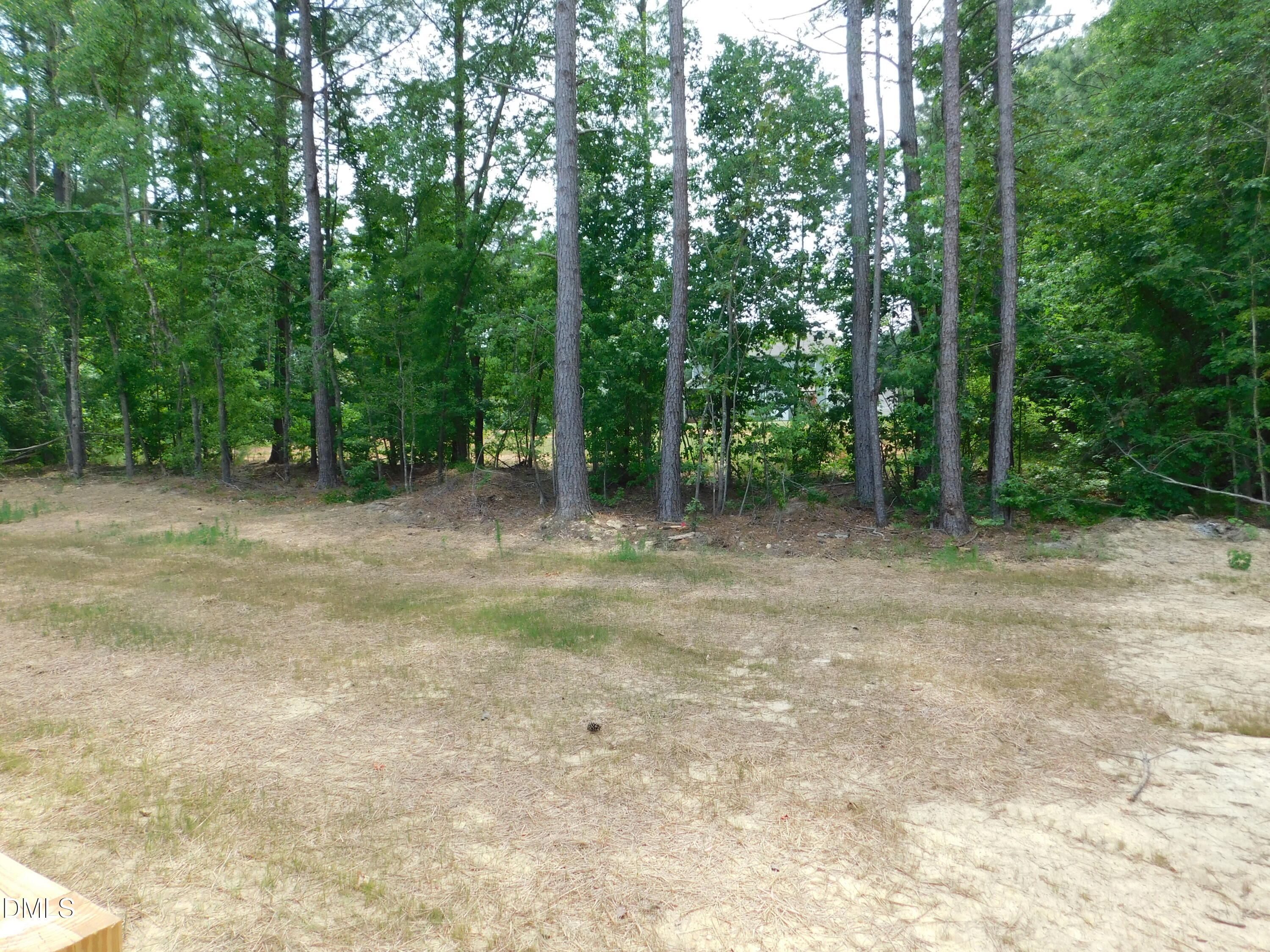 35 Copper Penny Road Zebulon, NC 27597 - Photo 22 of 22