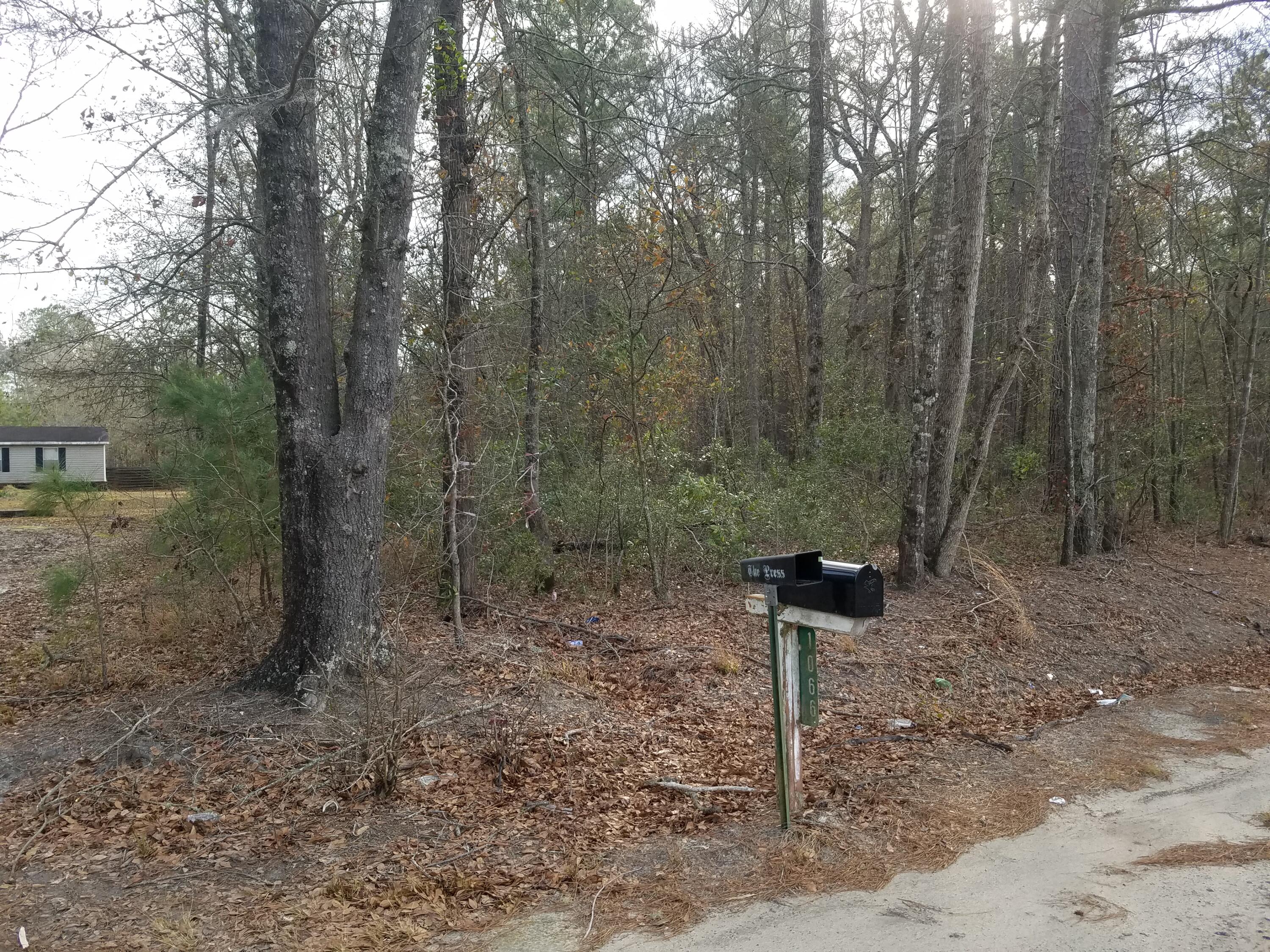 0 Maple Ridge Road Walterboro, SC 29488 - Photo 1 of 28 M-1