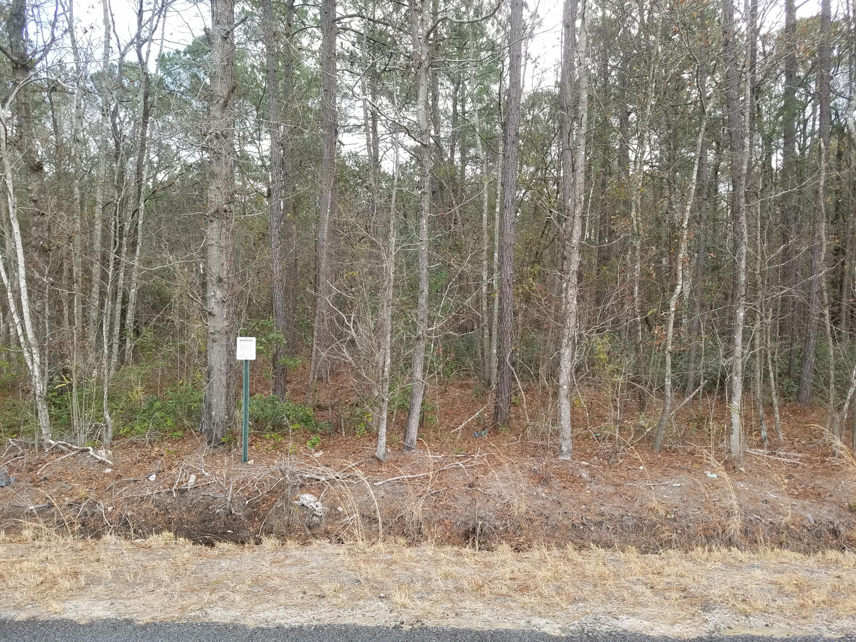 0 Maple Ridge Road Walterboro, SC 29488 - Photo 15 of 28 M-15