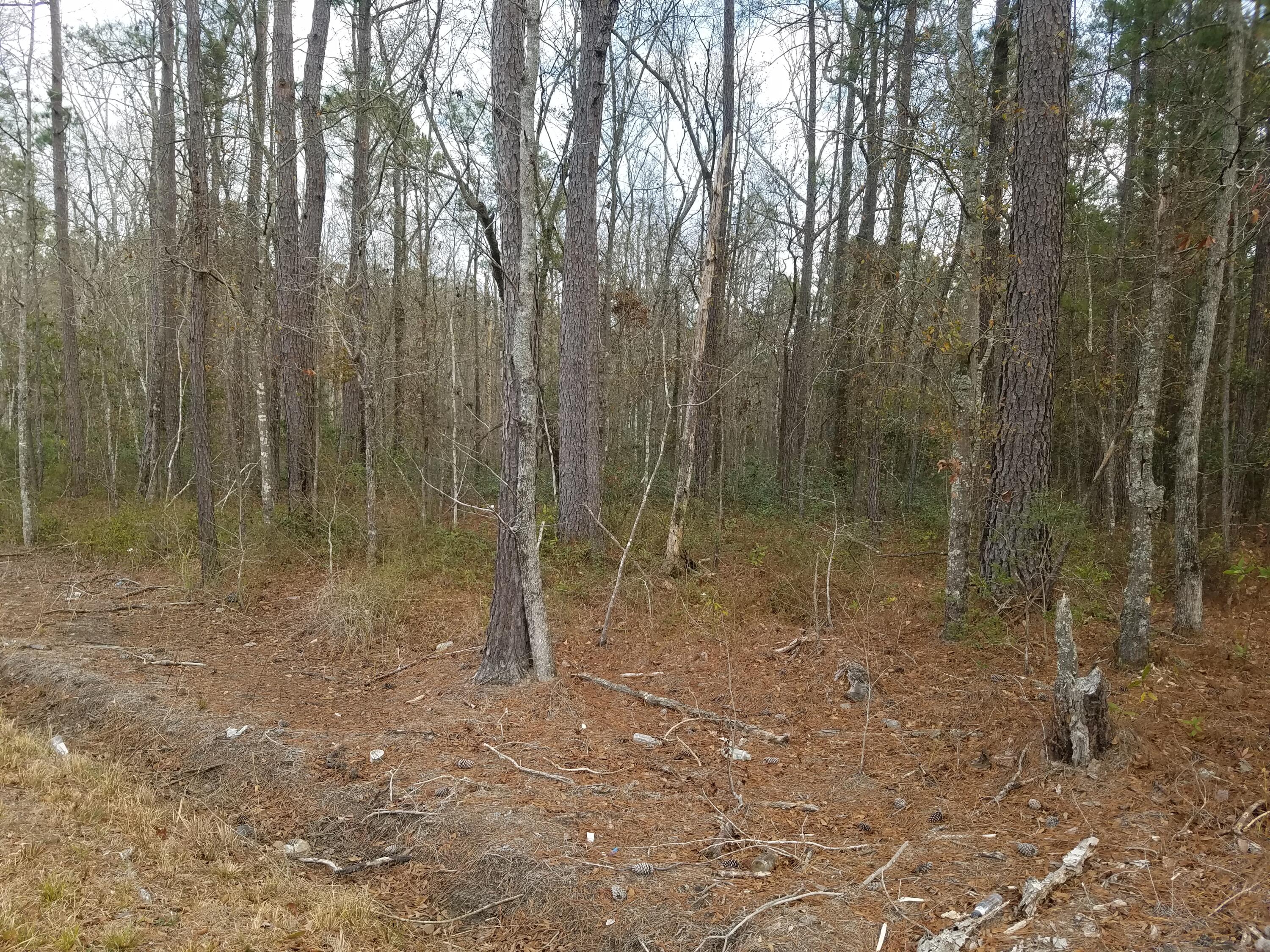 0 Maple Ridge Road Walterboro, SC 29488 - Photo 23 of 28 M-23