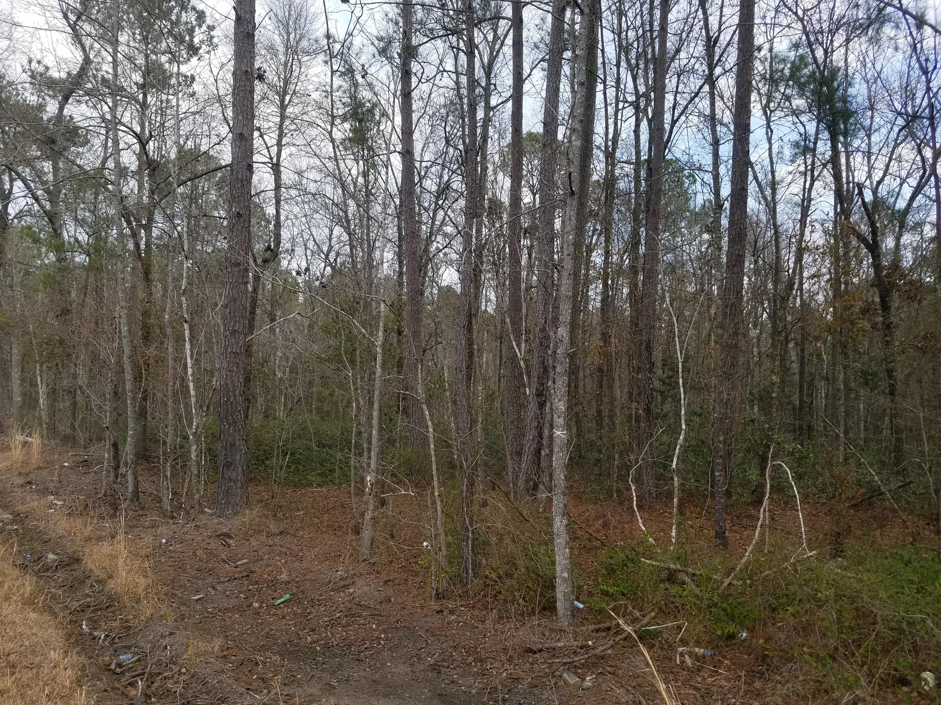 0 Maple Ridge Road Walterboro, SC 29488 - Photo 28 of 28 M-28