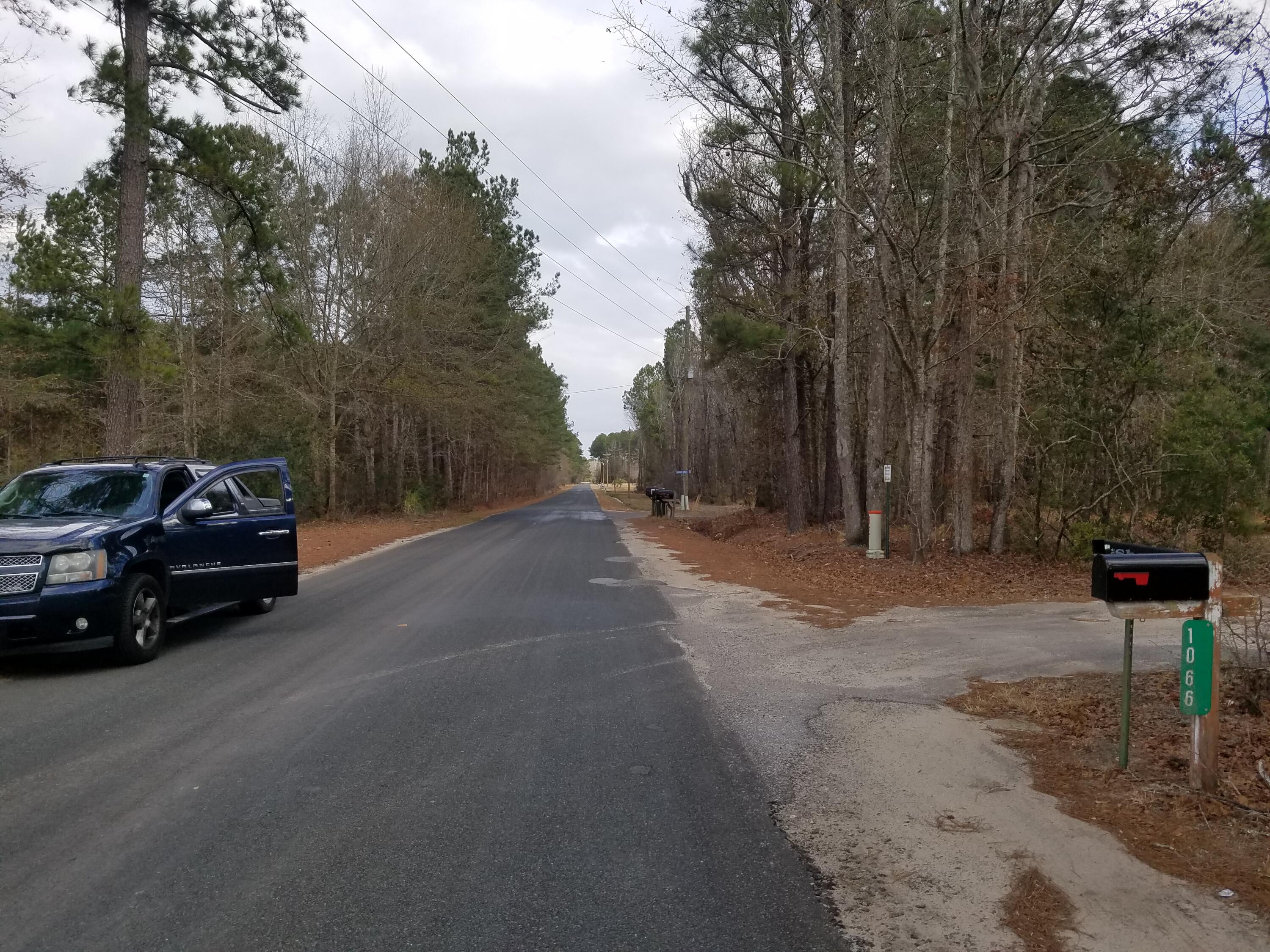 0 Maple Ridge Road Walterboro, SC 29488 - Photo 4 of 28 M-4