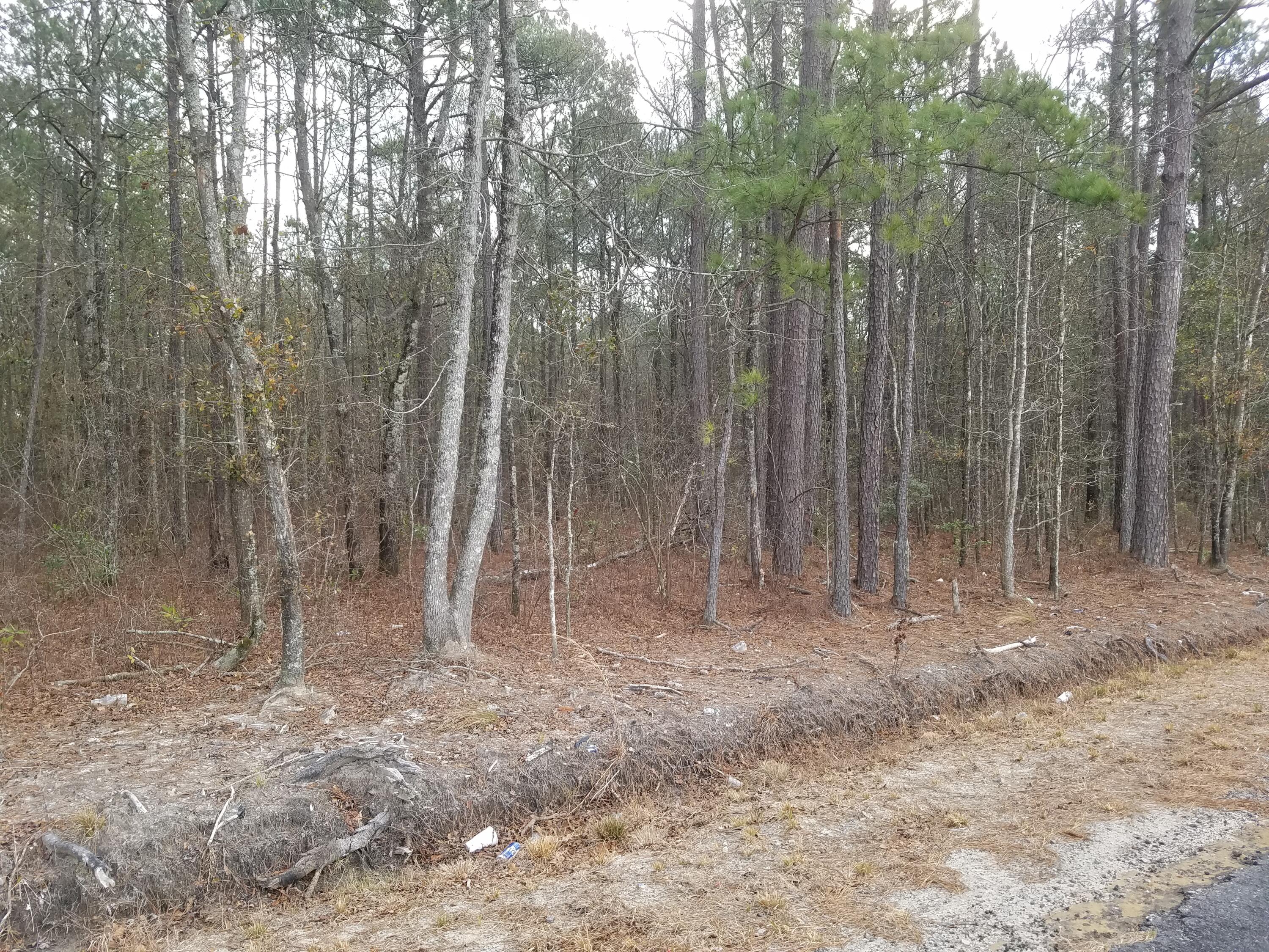 0 Maple Ridge Road Walterboro, SC 29488 - Photo 8 of 28 M-8