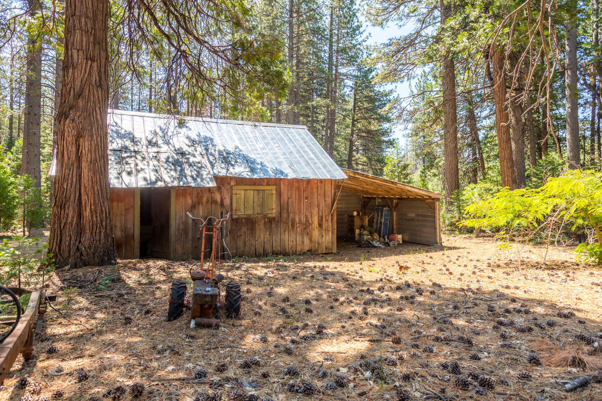 30457 Shingletown Ridge Road Shingletown, CA 96088 - Photo 13 of 20 feedbarn with carport