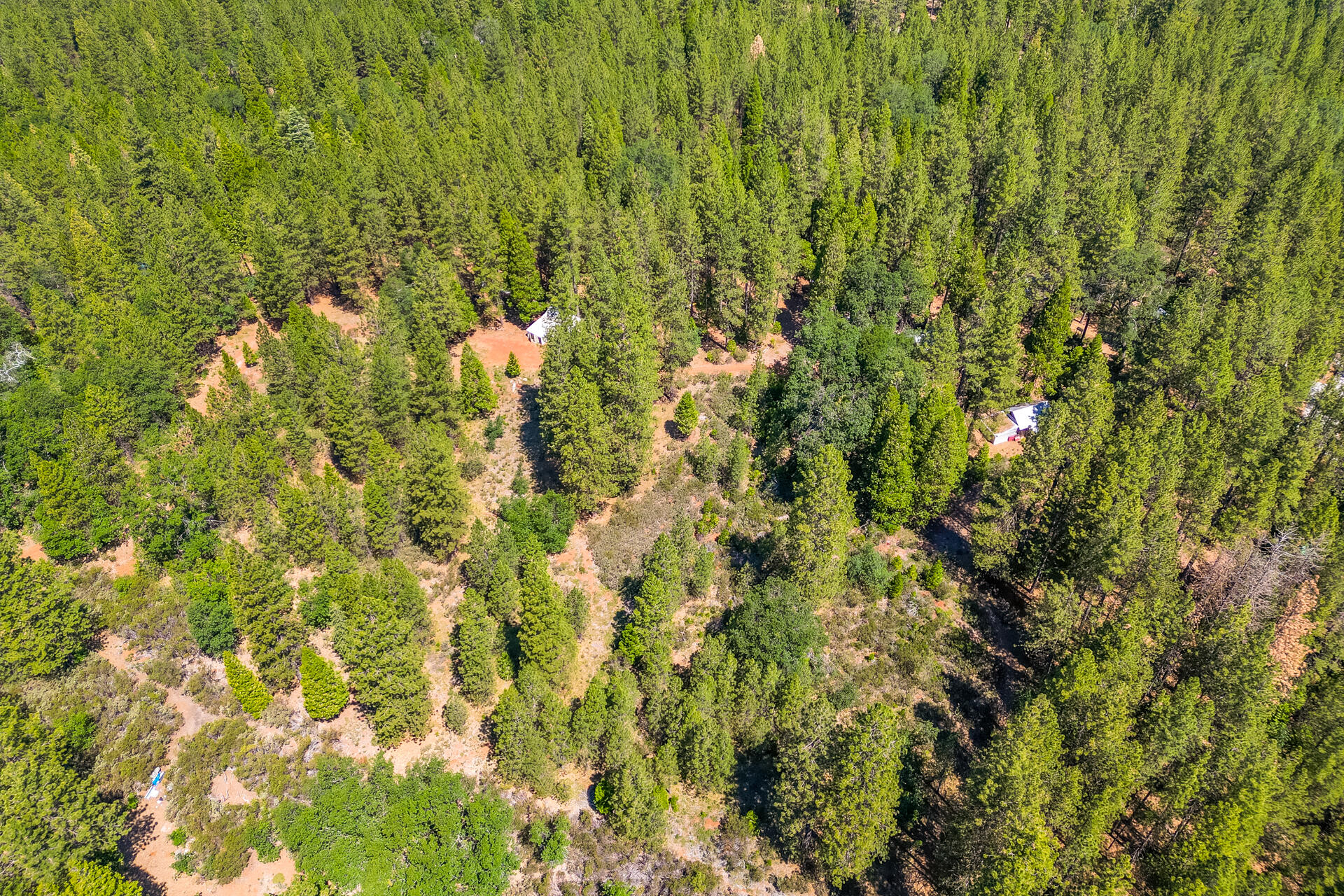 30457 Shingletown Ridge Road Shingletown, CA 96088 - Photo 19 of 20 Aerial View