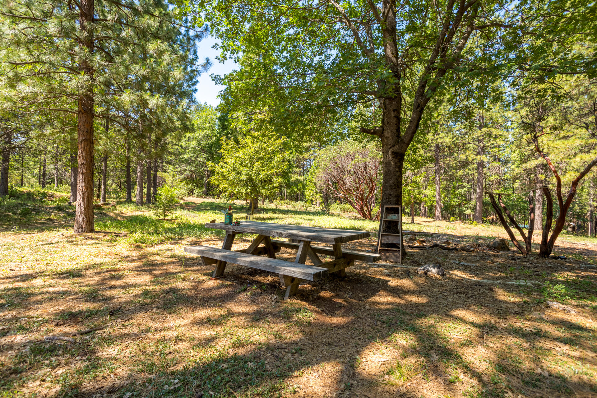 30457 Shingletown Ridge Road Shingletown, CA 96088 - Photo 5 of 20 Picnic Area